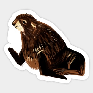 Northern Fur seal Sticker